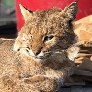 Meet your Posher, Bryan